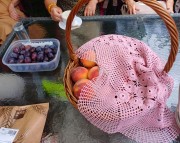 2024 08 06 Drustvo Lipa Etnologija 1