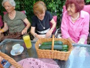 2024 08 06 Drustvo Lipa Etnologija 3