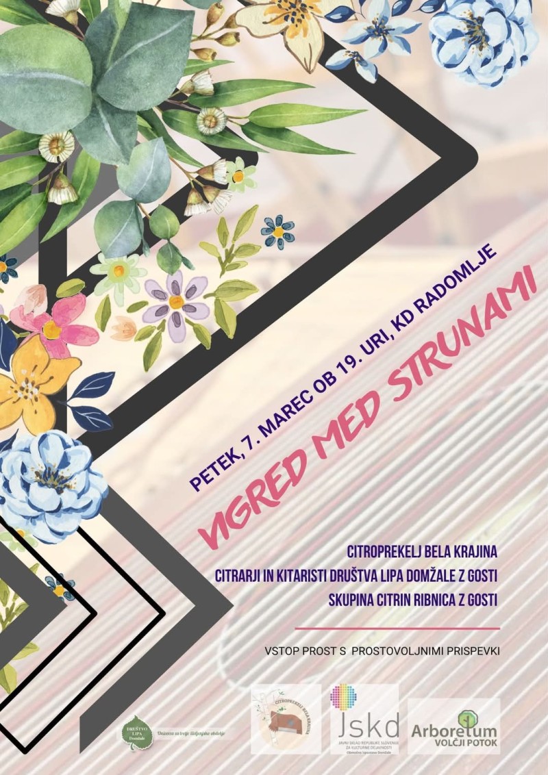 2025 02 26 Vigred med strunami